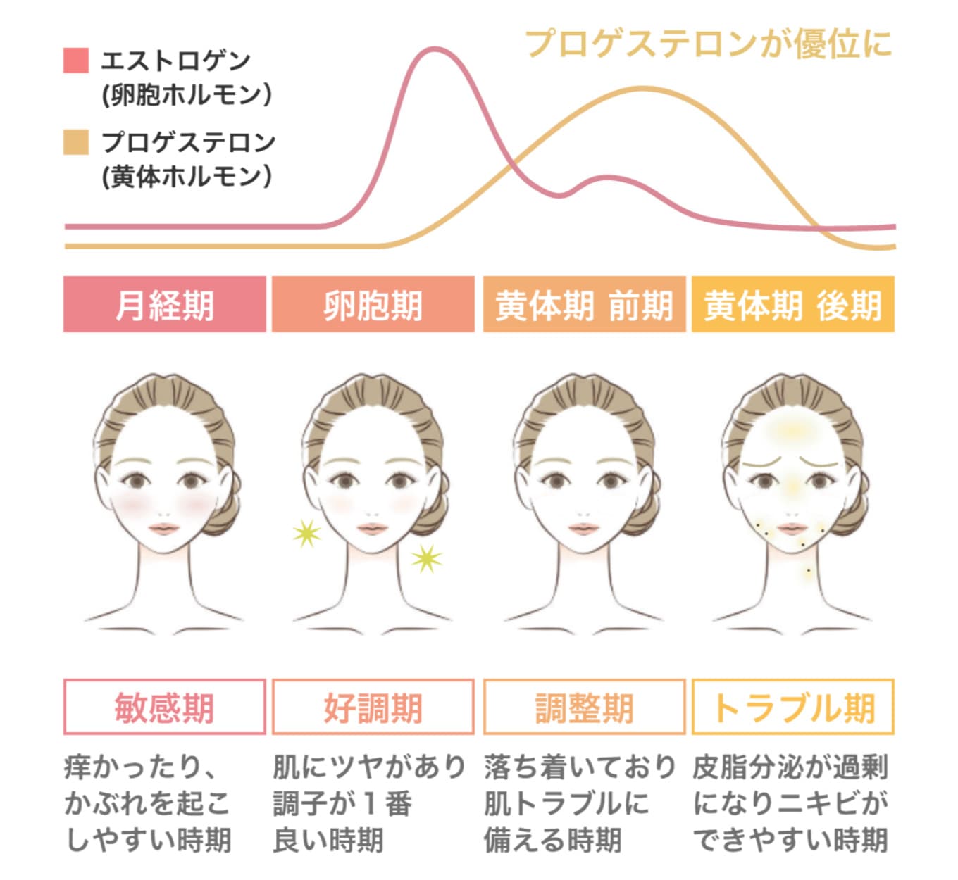肌の内側からスキンケア